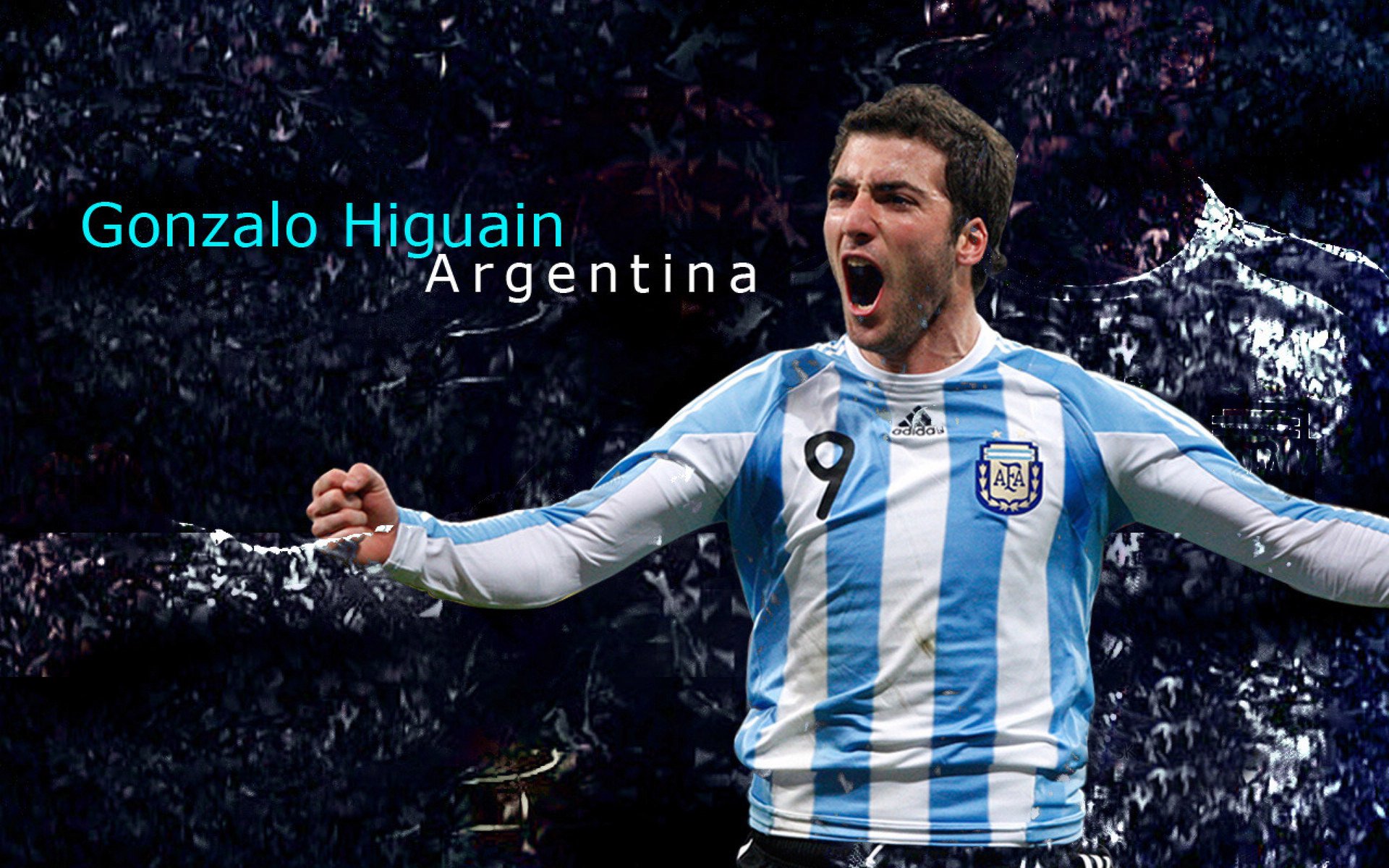 德里赫特，当橙色城墙矗立在蔚蓝海岸