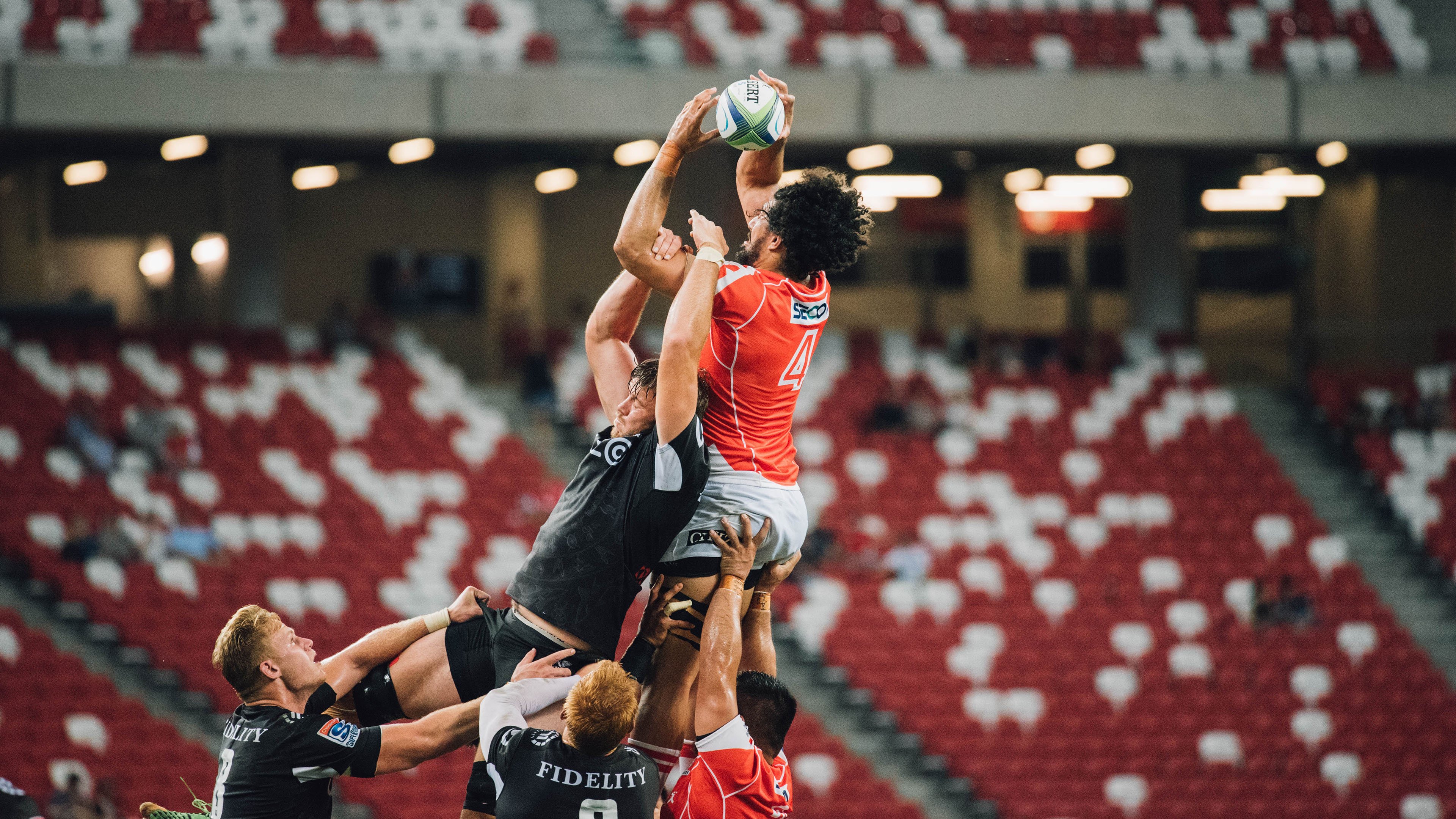 骑士鏖战吉林队，福克斯成为关键先生，当国王在东北虎啸中加冕